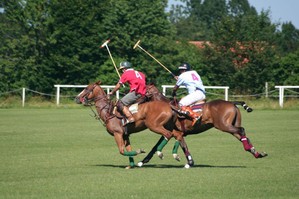 adventure and polo in argentina