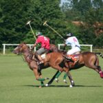 adventure and polo in argentina