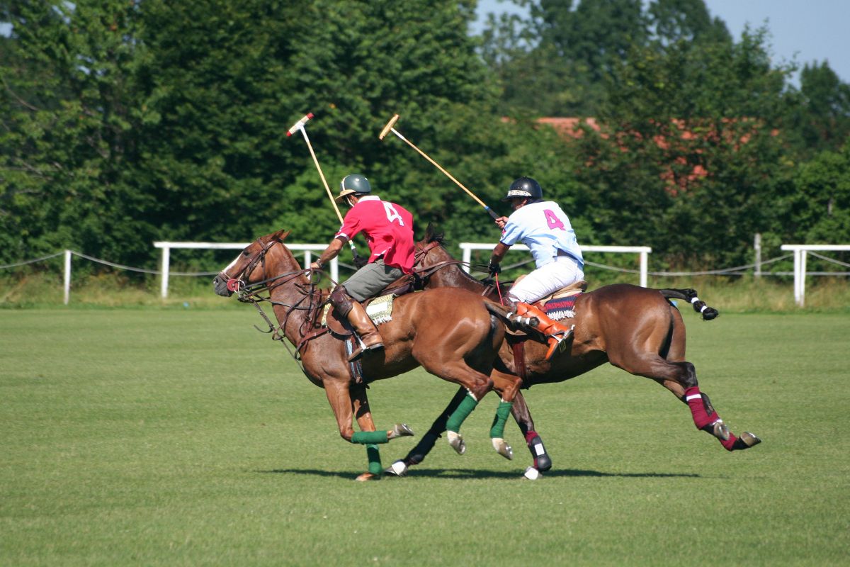 adventure and polo in argentina