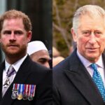 prince harry king charles relationship status