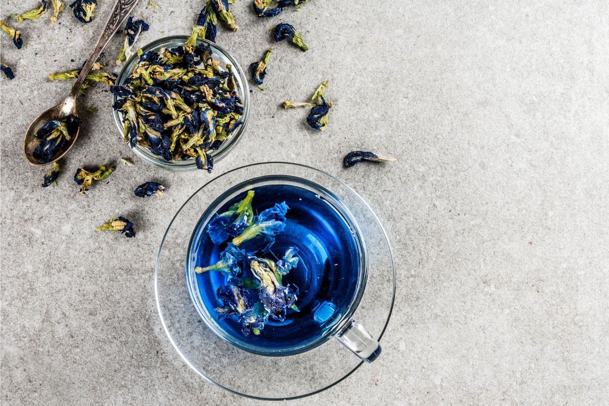 blue lotus flower tea