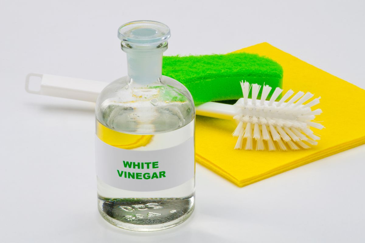 how to use white vinegar for cleaning your home
