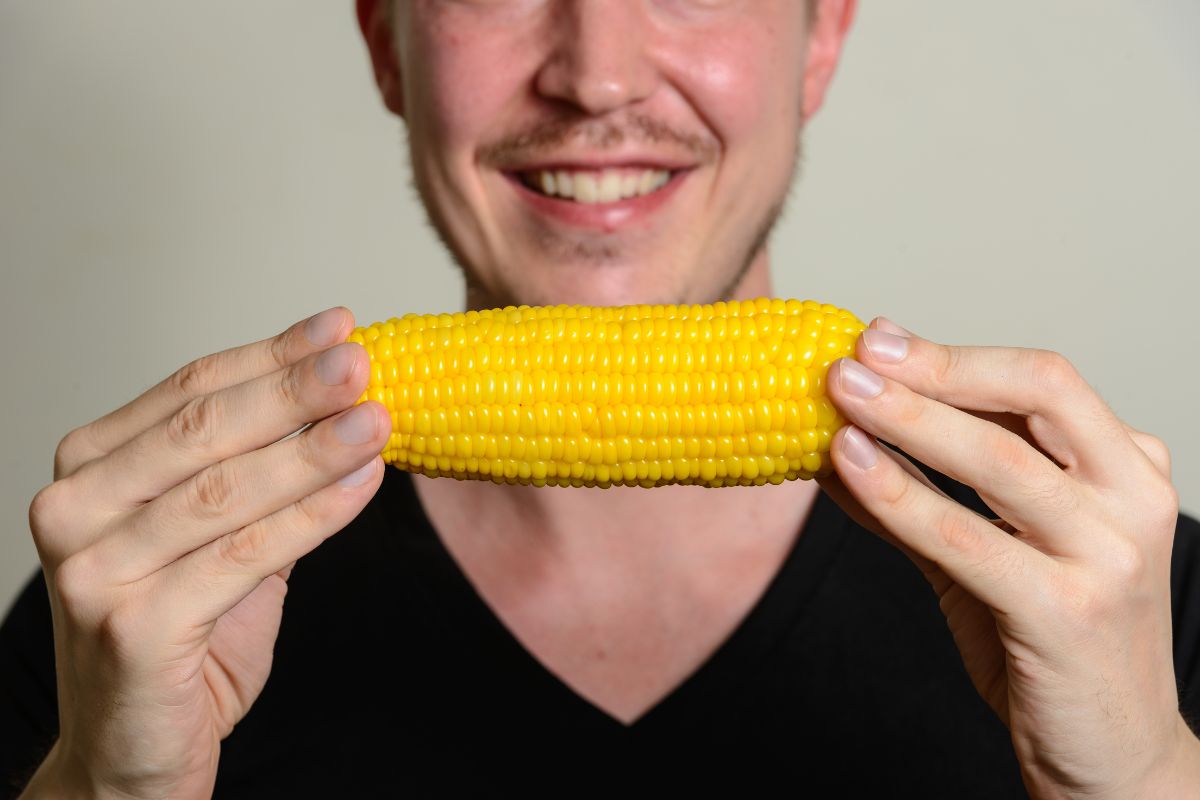 a person holding corn in hands representing maize starch vs corn flour